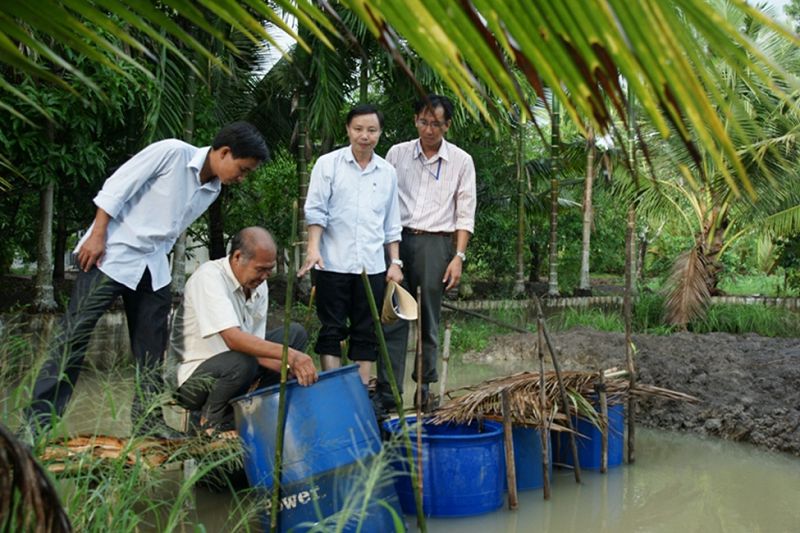 Kỹ thuật nuôi lươn trong can nhựa, ống nhựa hoặc thùng xốp