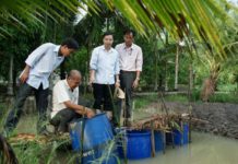 Kỹ thuật nuôi lươn trong can nhựa, ống nhựa hoặc thùng xốp Kỹ thuật nuôi lươn trong can nhựa, ống nhựa hoặc thùng xốp