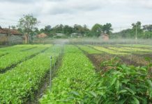 Hệ thống tưới phun mưa: Giá cả, chi phí và cách lắp đặt Chi phí lắp đặt hệ thống tưới phun mưa. Cách làm hệ thống phun mưa