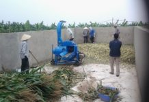 Giá Máy Băm Cỏ Các Loại. So Sánh Các Loại Máy Băm Cỏ Tốt Nhất Hiện Nay Giá máy băm cỏ các loại. Máy băm cỏ voi, máy băm mini, công suất lớn,...