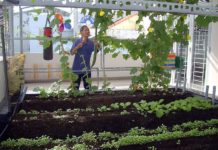 Hệ thống tưới nước nhỏ giọt tự chế và cách làm cách làm hệ thống tưới nước nhỏ giọt tự chế đơn giản