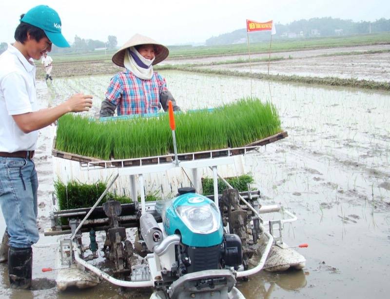 Bảng giá máy cấy lúa Kubota. Giá các mẫu máy cấy lúa Kubota tốt nhất