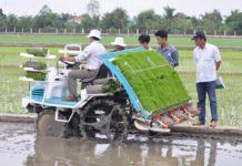 Bảng giá máy cấy lúa Kubota. Giá các mẫu máy cấy lúa Kubota tốt nhất Bảng giá máy cấy lúa Kubota. Giá các mẫu máy cấy lúa Kubota tốt nhất