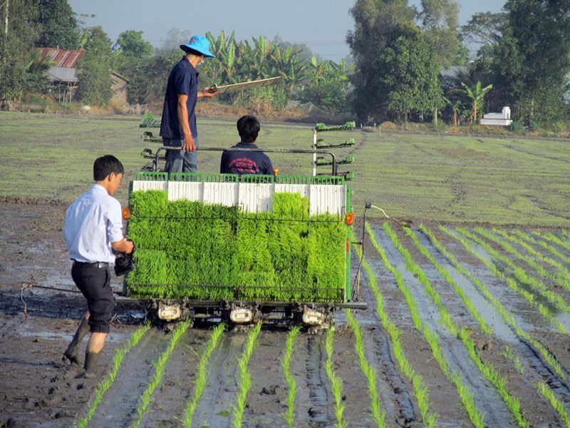 Bảng giá máy cấy lúa Kubota. Giá các mẫu máy cấy lúa Kubota tốt nhất