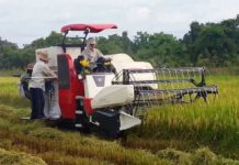 Giá bán máy gặt đập liên hợp Yanmar cũ mới. Máy gặt đập Yanmar tốt nhất