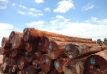 Cách tính khối gỗ. Cách tính mét khối (m³) gỗ tròn và gỗ vuông Cách tính khối gỗ. Cách tính mét khối (m³) gỗ tròn và gỗ vuông (chữ nhật)