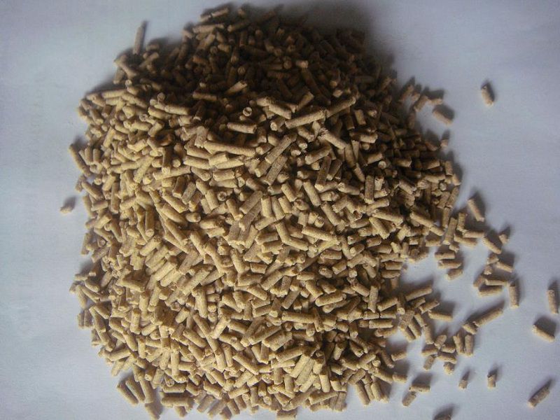 Thức ăn & chi phí thức ăn cho heo thịt. Nên cho heo ăn bao nhiêu là đủ?