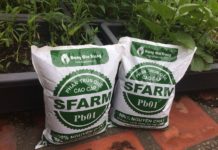 Giá phân trùn quế. Trang trại, cửa hàng bán phân trùn quế uy tín nhất Giá phân trùn quế các loại. Trang trại, cửa hàng bán phân trùn quế uy tín