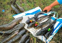 Mua mồi giả câu cá lóc ở đâu? Hướng dẫn cách làm mồi giả câu cá lóc Cách làm mồi giả câu cá lóc. Mua mồi giả câu cá lóc ở đâu?