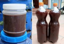 Hướng dẫn cách tự làm chế phẩm sinh học Amino, IMO Cách tự làm chế phẩm sinh học Amino từ cá, IMO từ gạo cho cây trồng