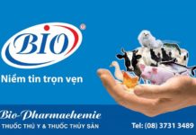 Bảng giá thuốc thú y BIO. Địa chỉ bán thuốc thú y Bio uy tín Bảng giá thuốc thú y Bio. Các đại lý, cửa bán thuốc thú y Bio uy tín