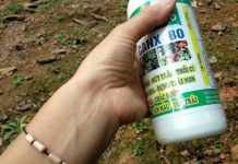 Giá bán thuốc chống rụng quả. Nơi bán các loại thuốc chống rụng quả Giá thuốc chống rụng hoa, quả non. Mua bán thuốc chống rụng quả