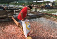 Hướng dẫn kỹ thuật làm bè nuôi cá đạt hiệu quả kinh tế cao Kỹ thuật làm lồng bè nuôi cá bằng thép, gỗ, tre. Cách nuôi cá trong lồng bè