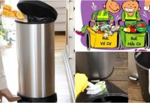 Cách hay khử mùi hôi thùng rác và rác thải trong bếp (Rác thải từ tôm, cua, dùng trong sinh hoạt hàng ngày)